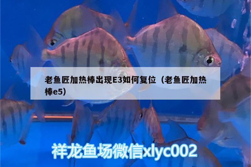 老魚匠加熱棒出現(xiàn)E3如何復(fù)位（老魚匠加熱棒e5） 老魚匠