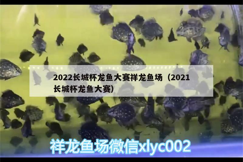 2022長(zhǎng)城杯龍魚大賽祥龍魚場(chǎng)（2021長(zhǎng)城杯龍魚大賽）