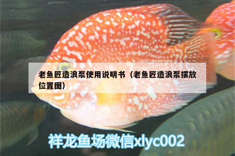 老魚(yú)匠造浪泵使用說(shuō)明書(shū)（老魚(yú)匠造浪泵擺放位置圖）