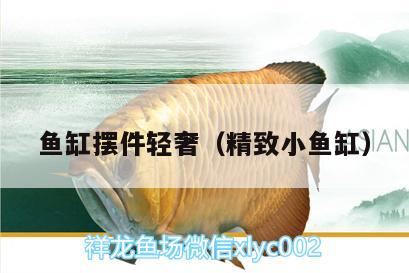 魚缸擺件輕奢（精致小魚缸）