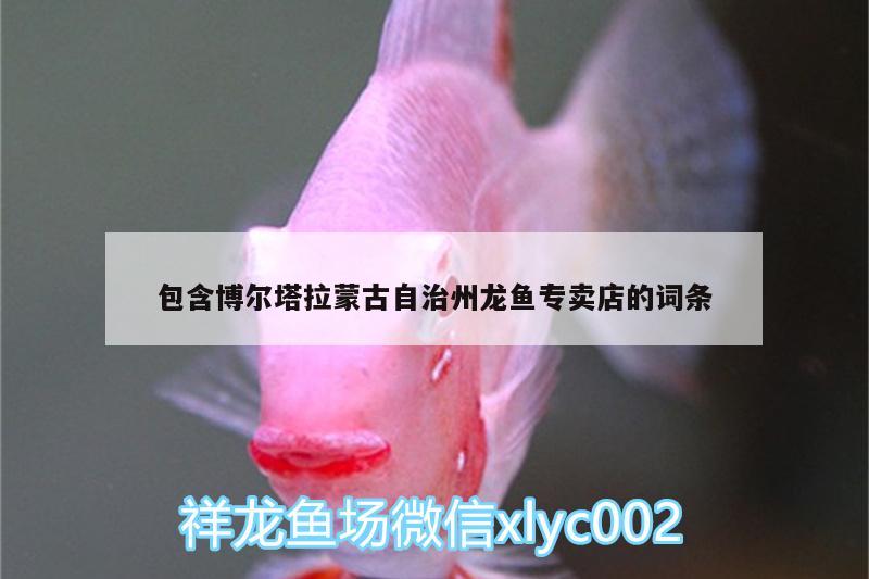 包含博爾塔拉蒙古自治州龍魚專賣店的詞條