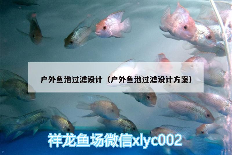 戶外魚池過濾設(shè)計(jì)（戶外魚池過濾設(shè)計(jì)方案） 白寫錦鯉魚