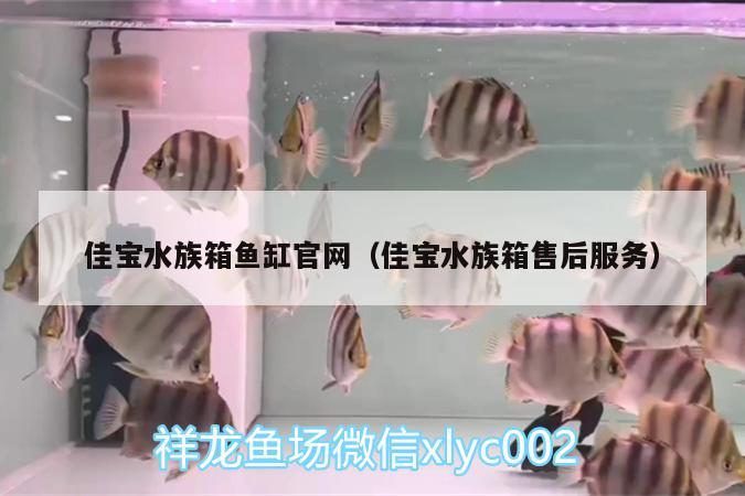 佳寶水族箱魚缸官網(wǎng)（佳寶水族箱售后服務(wù)） 魚缸/水族箱 第1張