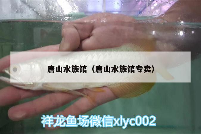 唐山水族館（唐山水族館專賣） 紅龍專用魚糧飼料