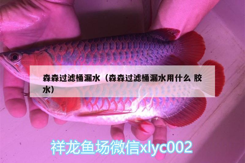 森森過濾桶漏水（森森過濾桶漏水用什么膠水）