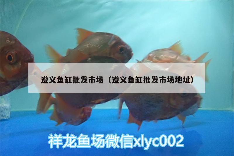 遵義魚(yú)缸批發(fā)市場(chǎng)（遵義魚(yú)缸批發(fā)市場(chǎng)地址） 魚(yú)缸百科