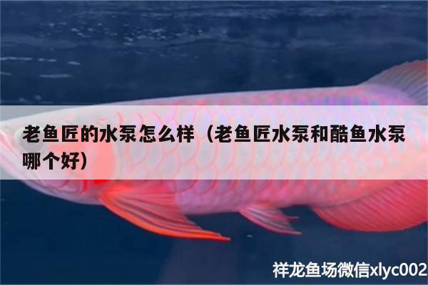 老魚(yú)匠的水泵怎么樣（老魚(yú)匠水泵和酷魚(yú)水泵哪個(gè)好） 老魚(yú)匠