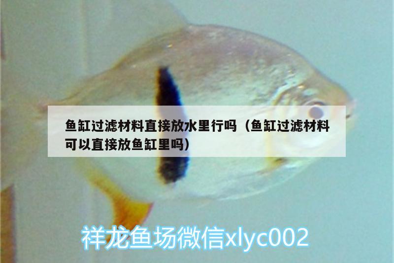 魚缸過濾材料直接放水里行嗎（魚缸過濾材料可以直接放魚缸里嗎）