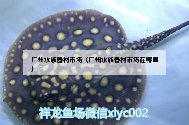 廣州水族器材市場(chǎng)（廣州水族器材市場(chǎng)在哪里） 帝王血鉆魚