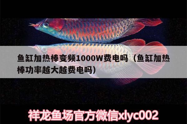 魚缸加熱棒變頻1000W費(fèi)電嗎（魚缸加熱棒功率越大越費(fèi)電嗎） 祥龍赫舞紅龍魚