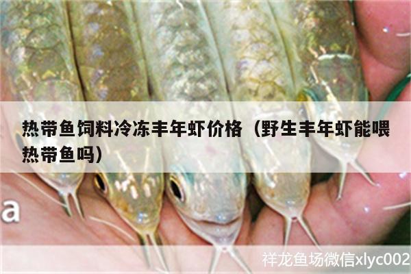 熱帶魚飼料冷凍豐年蝦價(jià)格（野生豐年蝦能喂熱帶魚嗎）