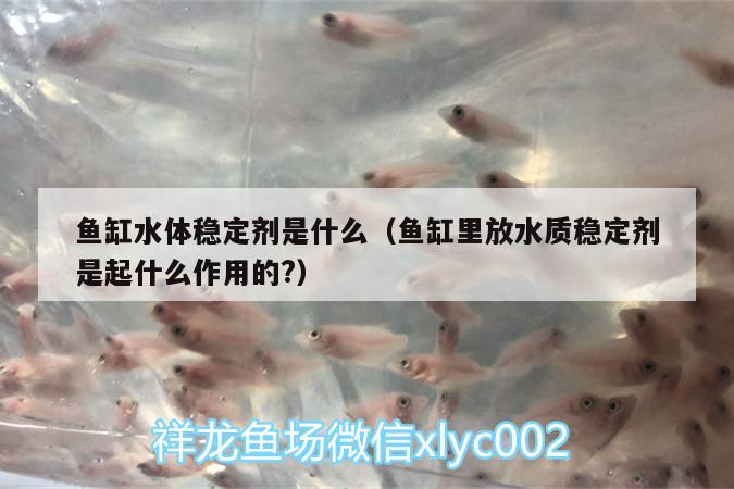 魚缸水體穩(wěn)定劑是什么（魚缸里放水質(zhì)穩(wěn)定劑是起什么作用的?） 水溫計