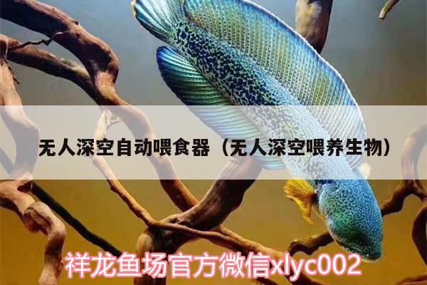 無人深空自動喂食器（無人深空喂養(yǎng)生物） 喂食器