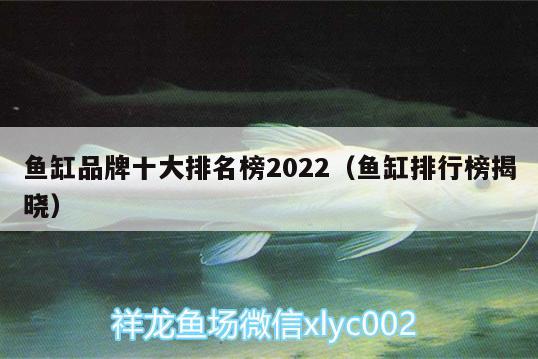 魚缸品牌十大排名榜2022（魚缸排行榜揭曉） 魚缸清潔用具