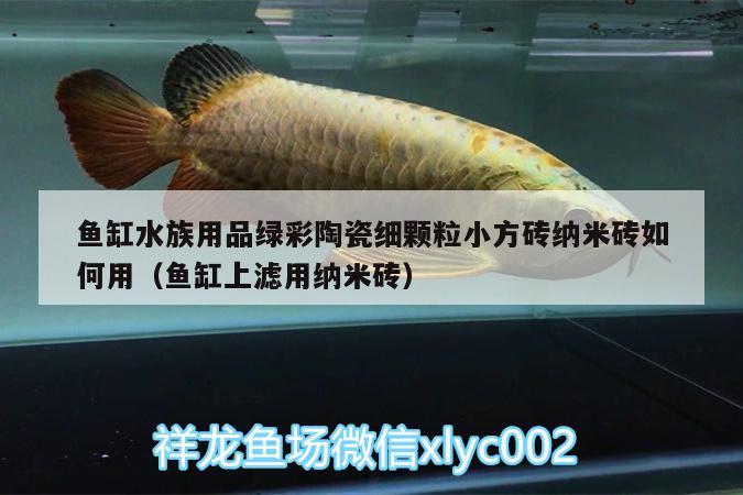 魚缸水族用品綠彩陶瓷細顆粒小方磚納米磚如何用（魚缸上濾用納米磚） 水族用品 第2張