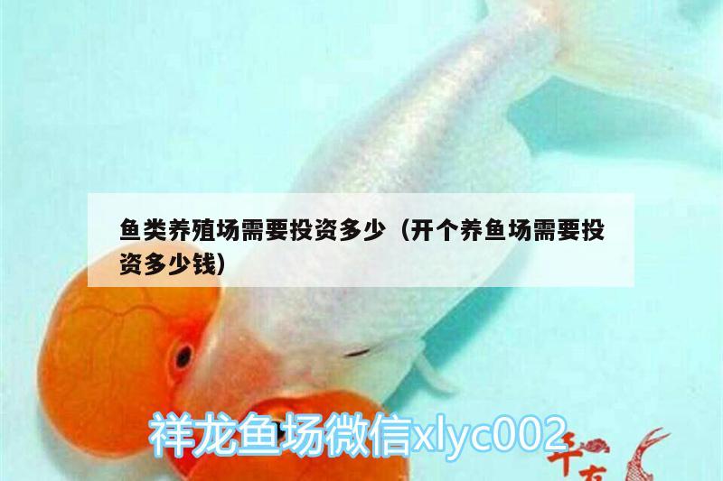 魚類養(yǎng)殖場需要投資多少（開個養(yǎng)魚場需要投資多少錢） 黃金河虎魚