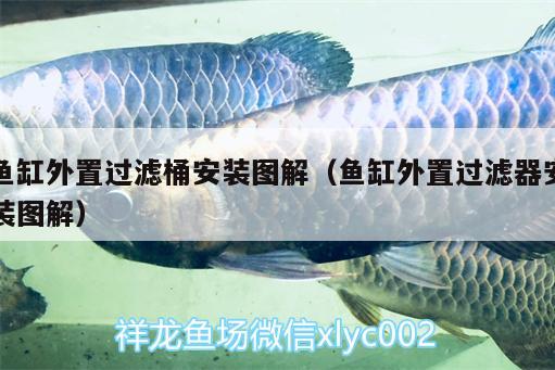 魚(yú)缸外置過(guò)濾桶安裝圖解（魚(yú)缸外置過(guò)濾器安裝圖解）