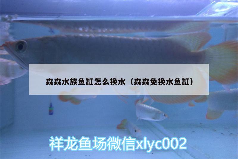 森森水族魚缸怎么換水（森森免換水魚缸） 觀賞魚企業(yè)目錄