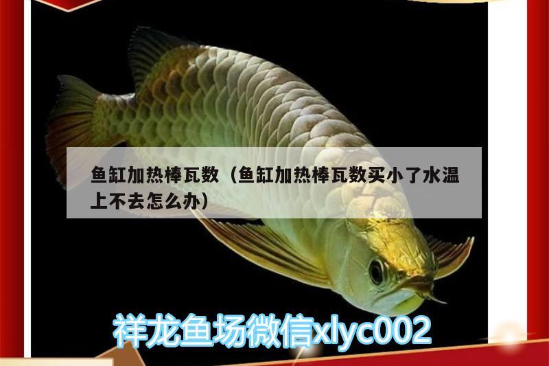 魚缸加熱棒瓦數(shù)（魚缸加熱棒瓦數(shù)買小了水溫上不去怎么辦）