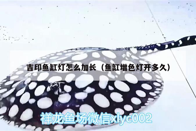 吉印魚缸燈怎么加長(zhǎng)（魚缸增色燈開多久） 吉印水族