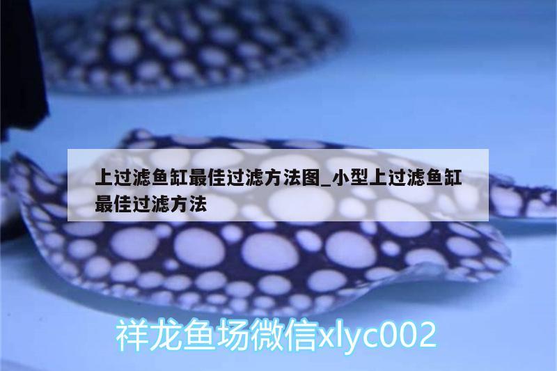 上過濾魚缸最佳過濾方法圖_小型上過濾魚缸最佳過濾方法