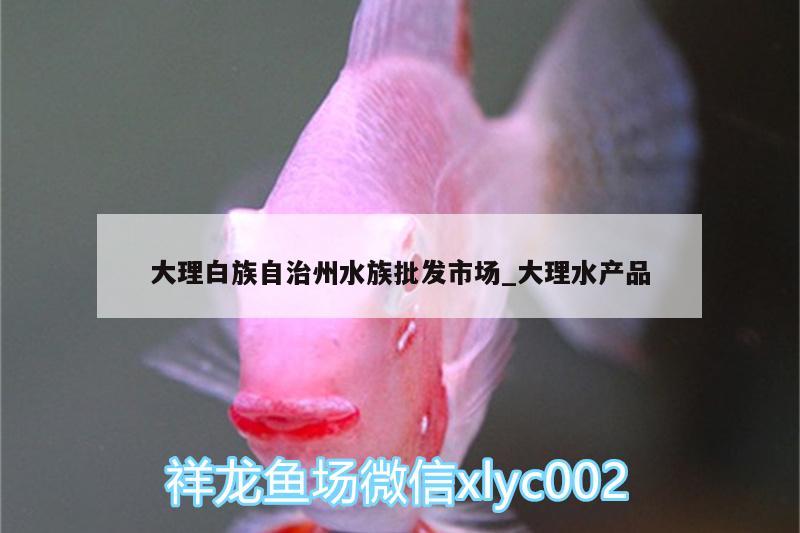 大理白族自治州水族批發(fā)市場_大理水產品