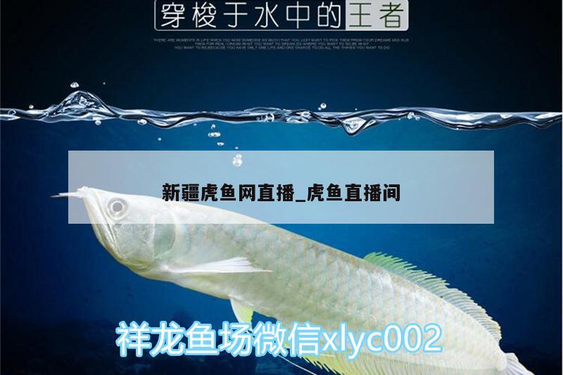 新疆虎魚網(wǎng)直播_虎魚直播間