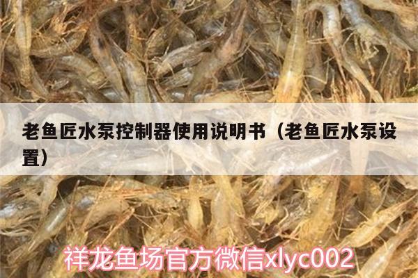 老魚匠水泵控制器使用說明書（老魚匠水泵設(shè)置） 老魚匠