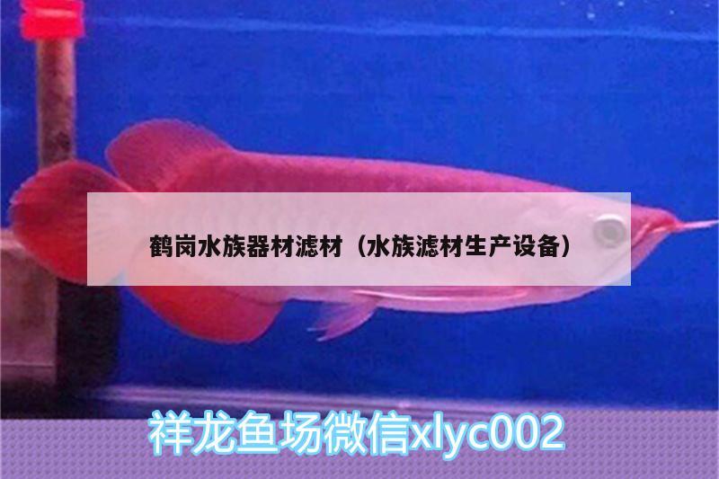 鶴崗水族器材濾材（水族濾材生產(chǎn)設(shè)備） 泰國雪鯽魚