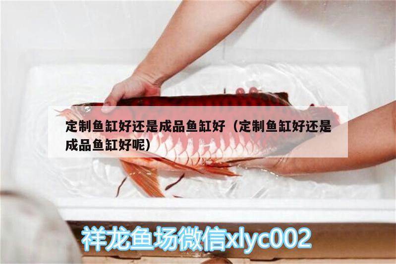 定制魚缸好還是成品魚缸好（定制魚缸好還是成品魚缸好呢）