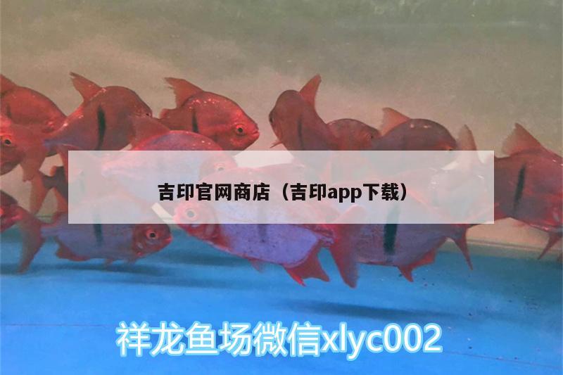 吉印官網(wǎng)商店（吉印app下載）