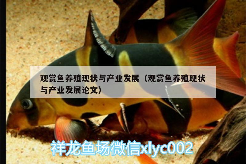 觀賞魚養(yǎng)殖現(xiàn)狀與產(chǎn)業(yè)發(fā)展（觀賞魚養(yǎng)殖現(xiàn)狀與產(chǎn)業(yè)發(fā)展論文）