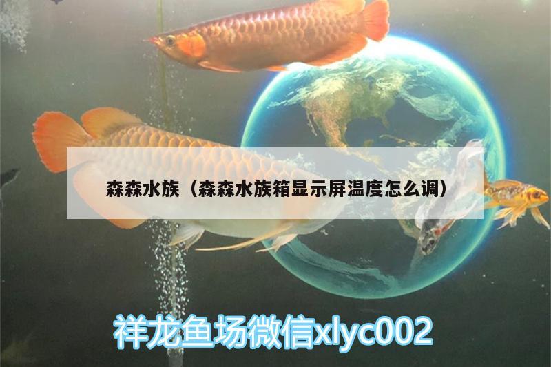 森森水族（森森水族箱顯示屏溫度怎么調(diào)） 魚(yú)缸/水族箱