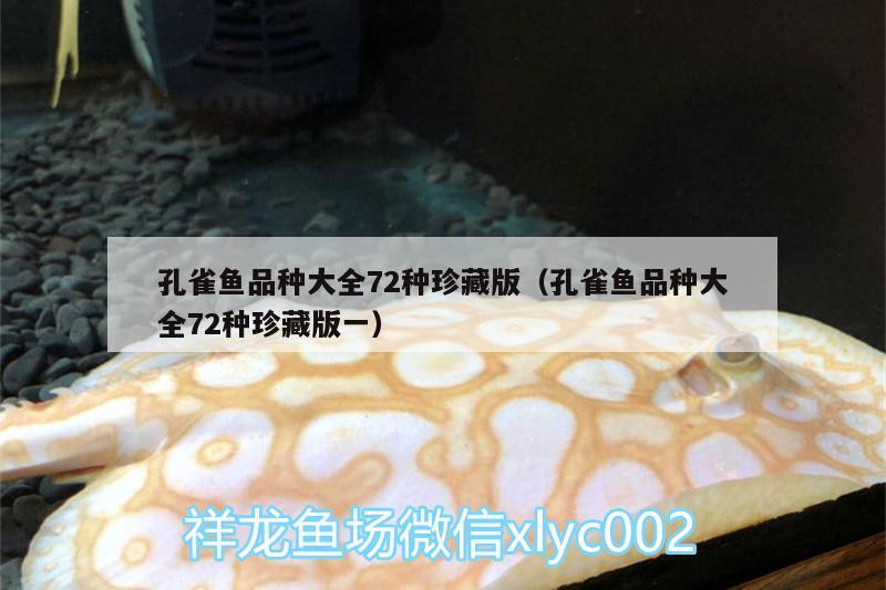 孔雀魚品種大全72種珍藏版（孔雀魚品種大全72種珍藏版一） 高背金龍魚