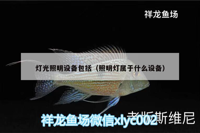 燈光照明設(shè)備包括（照明燈屬于什么設(shè)備） 魚缸百科