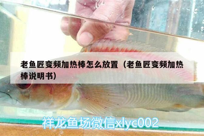 老魚(yú)匠變頻加熱棒怎么放置（老魚(yú)匠變頻加熱棒說(shuō)明書(shū)） 老魚(yú)匠