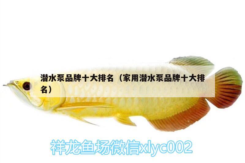 潛水泵品牌十大排名（家用潛水泵品牌十大排名） 福滿鉆魚