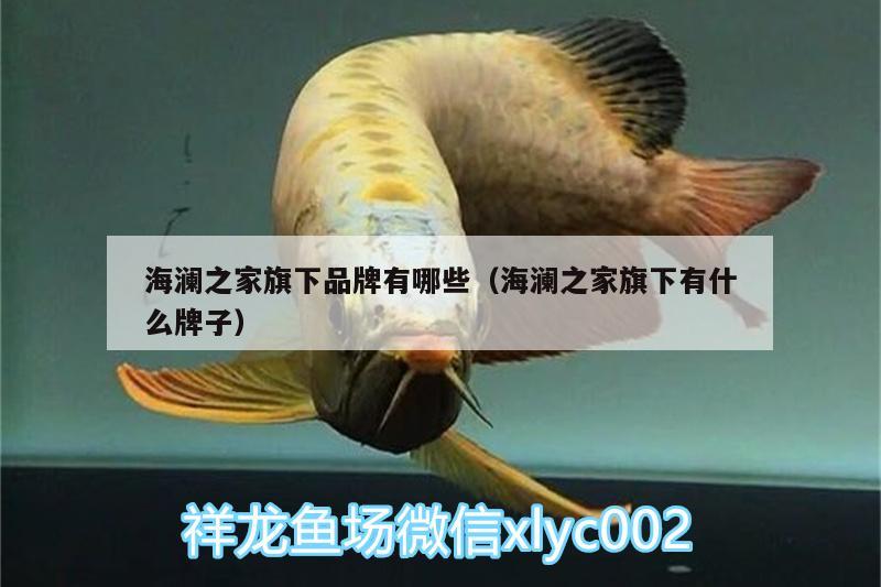 海瀾之家旗下品牌有哪些（海瀾之家旗下有什么牌子） 帝王迷宮魚(yú)