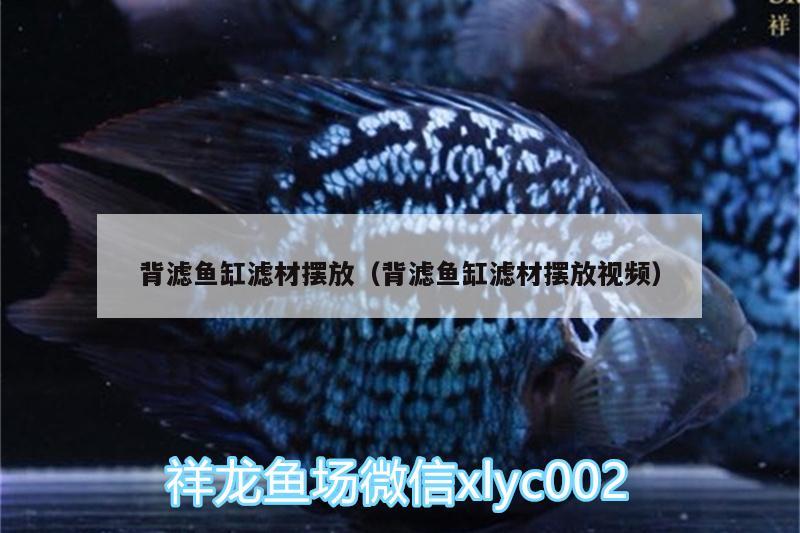 背濾魚(yú)缸濾材擺放（背濾魚(yú)缸濾材擺放視頻） 水草