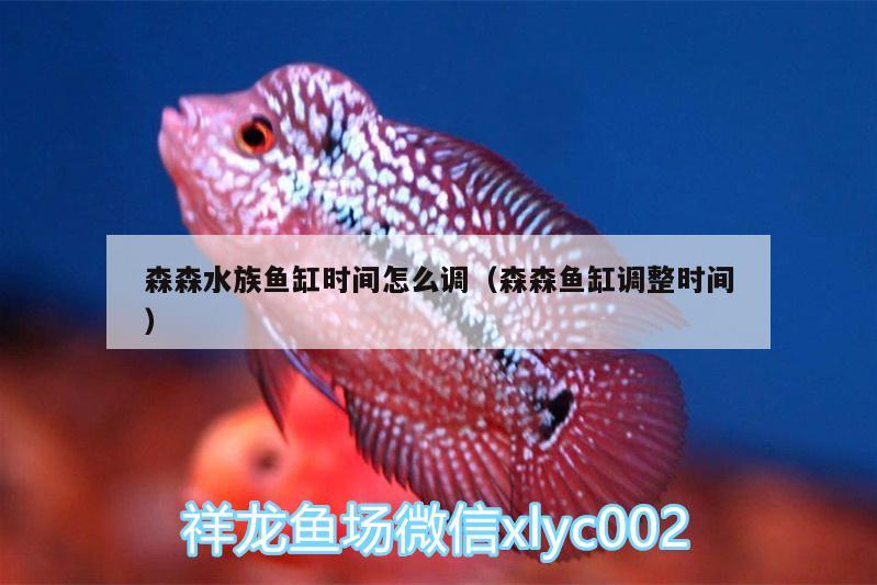 森森水族魚(yú)缸時(shí)間怎么調(diào)（森森魚(yú)缸調(diào)整時(shí)間） 虎魚(yú)魚(yú)苗