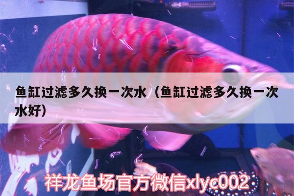 魚缸過濾多久換一次水（魚缸過濾多久換一次水好） 錦鯉池魚池建設(shè)