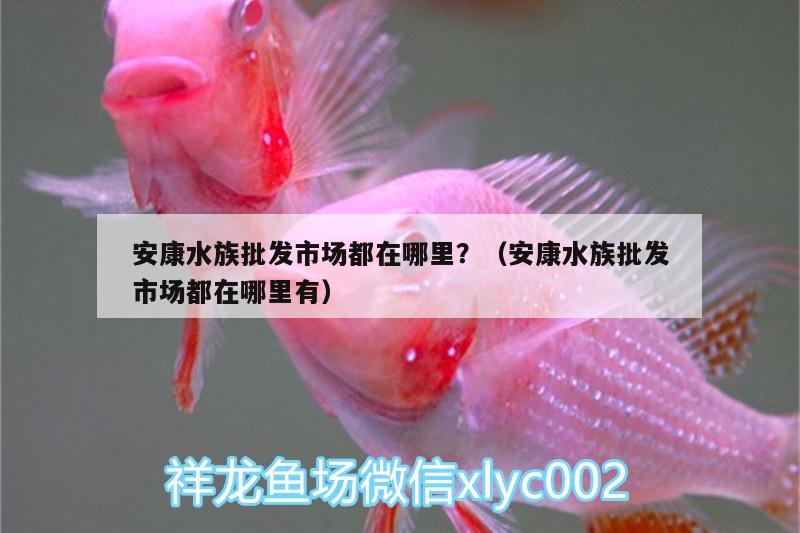 安康水族批發(fā)市場(chǎng)都在哪里？（安康水族批發(fā)市場(chǎng)都在哪里有）