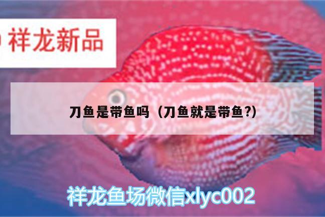 刀魚是帶魚嗎（刀魚就是帶魚?）