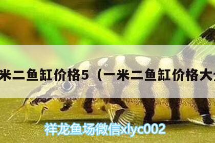 一米二魚缸價格5（一米二魚缸價格大全）