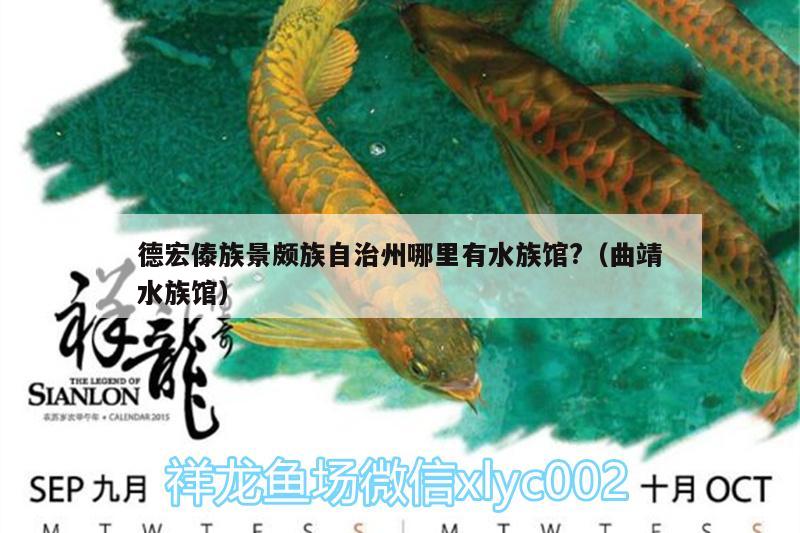 德宏傣族景頗族自治州哪里有水族館?（曲靖水族館） 龍魚批發(fā)