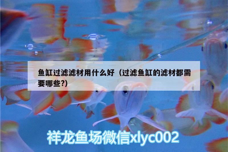 魚缸過濾濾材用什么好（過濾魚缸的濾材都需要哪些?） 魚缸等水族設備