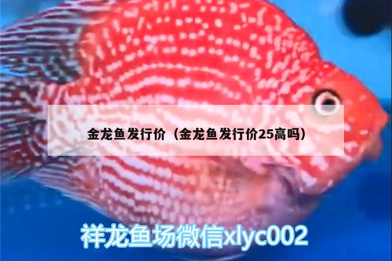 金龍魚發(fā)行價（金龍魚發(fā)行價25高嗎） 紅白錦鯉魚