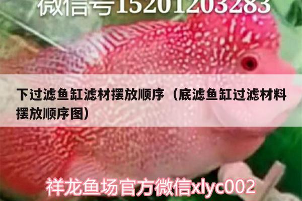 下過濾魚缸濾材擺放順序（底濾魚缸過濾材料擺放順序圖）