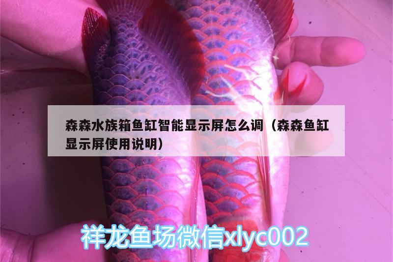 森森水族箱魚缸智能顯示屏怎么調(diào)（森森魚缸顯示屏使用說明） 魚缸/水族箱