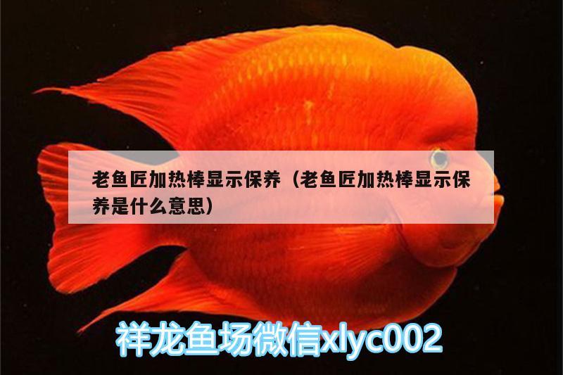 老魚匠加熱棒顯示保養(yǎng)（老魚匠加熱棒顯示保養(yǎng)是什么意思）